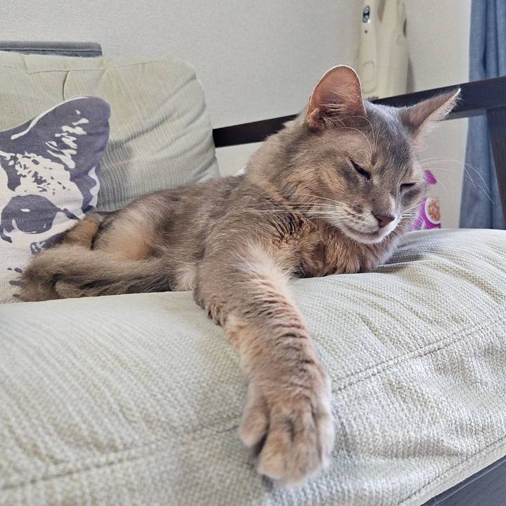 4457b89a c629 4edb 85a9 146dc632ae74 1728005992710