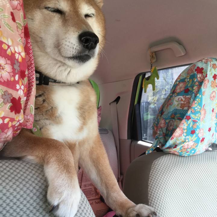 4457c371 9e17 42f4 87c3 a316097bba0b 1615435053563