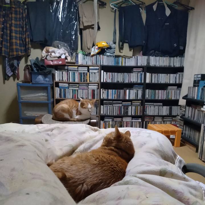 4457d77f 9da9 4614 961f cf4b0f15a328 1734559599901