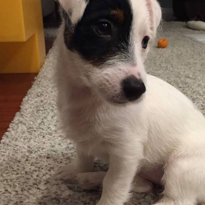 44580284 93b7 4b29 b895 e3c60a294c65 1676027514380