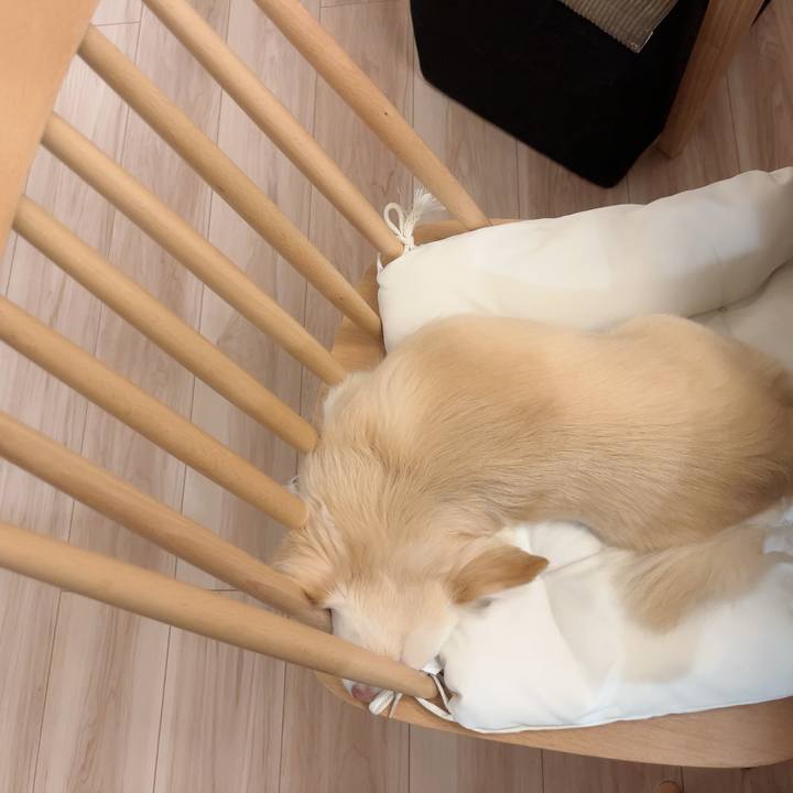 44580d0e df85 4c1c b6ab 84166e736ed9 1729120679984