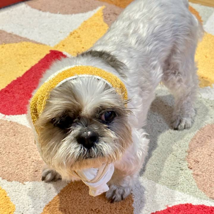 4458338f 4e74 4ba4 ad38 fb0cc7e405df 1685718557310