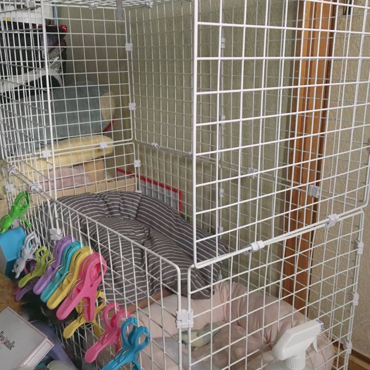 445837cd 094b 4a4c ab86 28843a8a3dba 1565764984838