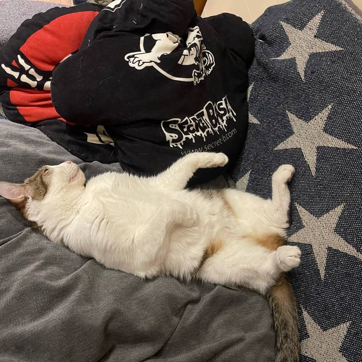 445856a5 6b04 4330 91ed 5dfb62c8f0a6 1631364605047