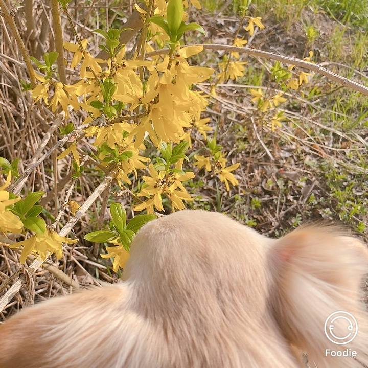 44587563 8277 4ce3 9115 2a3f334f0d47 1616058810129