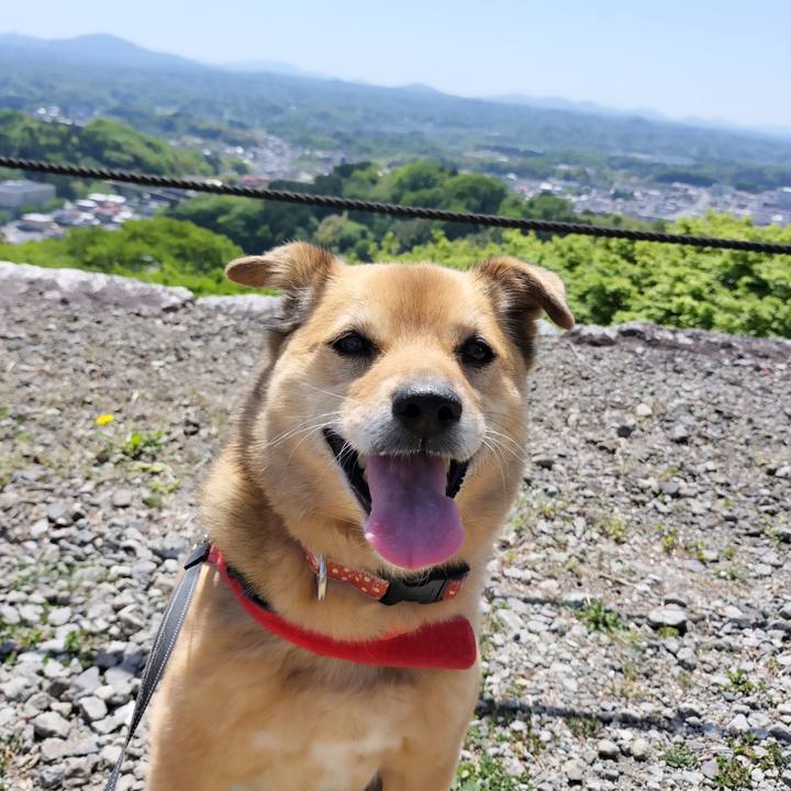 44587e12 2ada 419b a963 27de18b49147 1714741016966