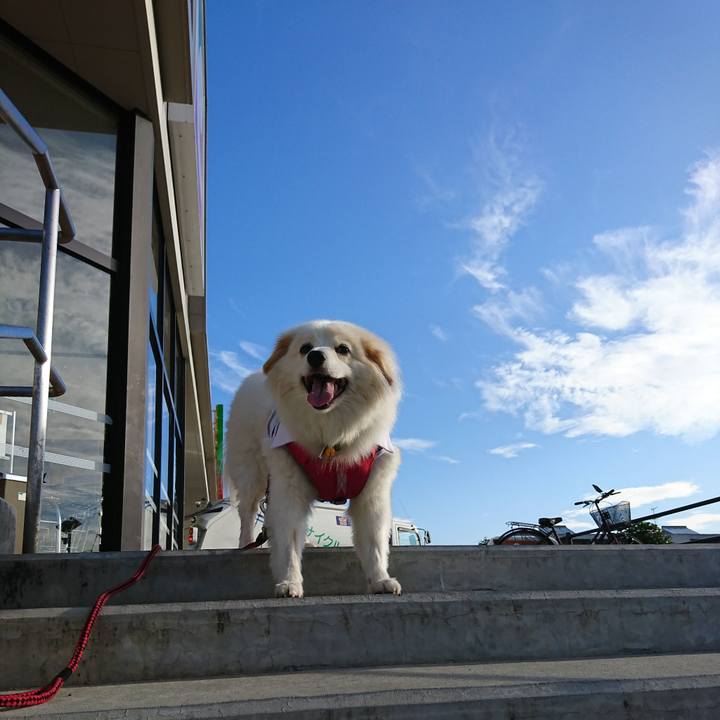 44588e90 76c8 4e62 a625 eca2d2bc8344 1534972692446