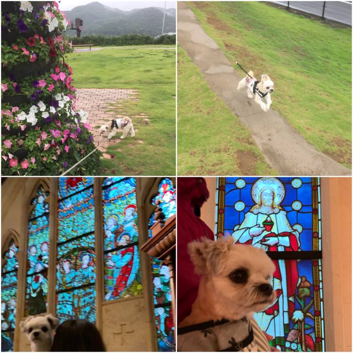 44589281 f297 4673 bbd1 f07cca23dc1a 1560587048613