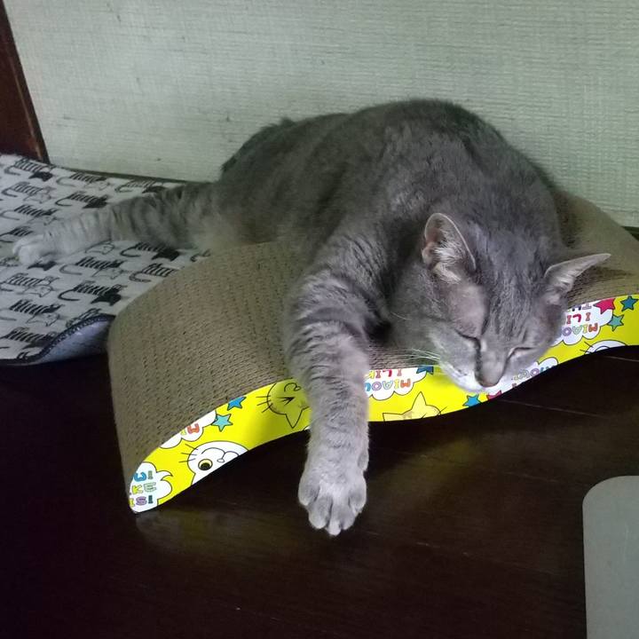 4458b842 5cba 481e 8e6d 8a27253a5d9c 1657062495352