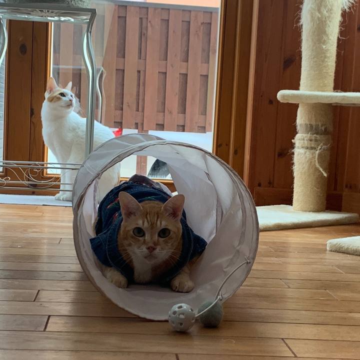 4458ead0 f6c9 4e6d 9144 cd06e8564578 1665401707828