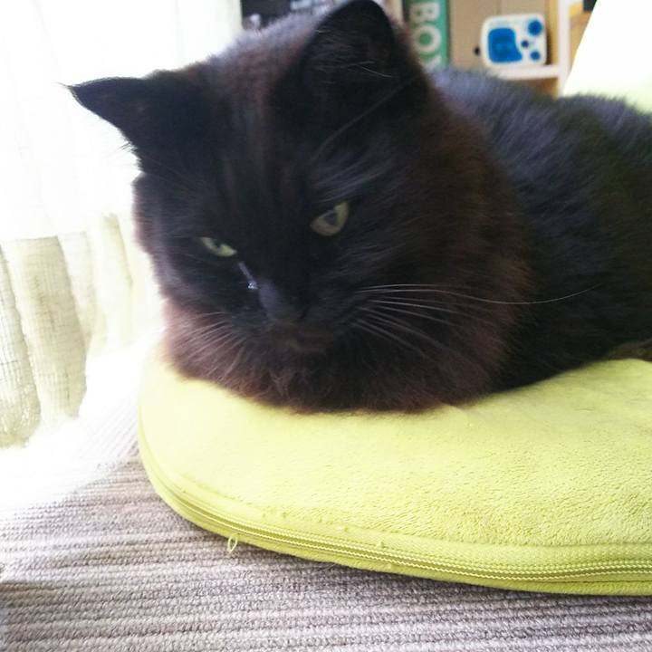 44591fc1 63f3 4186 a231 ba97cfa63c00 1547941947609