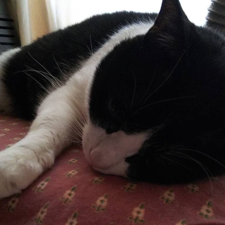 44593a22 36ea 4671 ac0d 8dfd0abc9c84 1552859662412