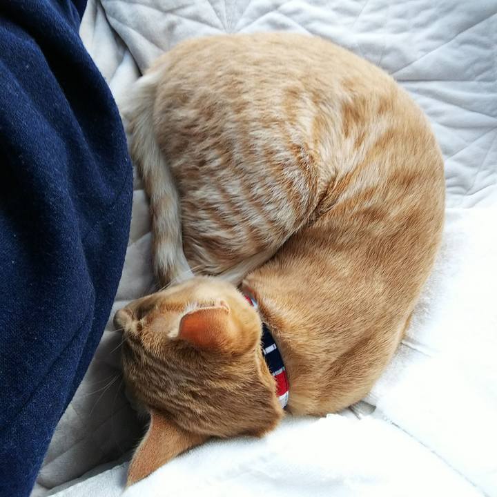 44593edc 7e06 4f5f ac01 ccab98c3f5e5 1547356617667