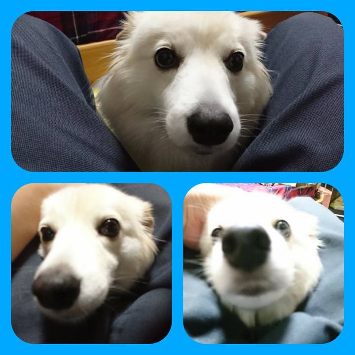 44594927 78d9 40e2 a481 51c9ba23ccf8 1510674508907