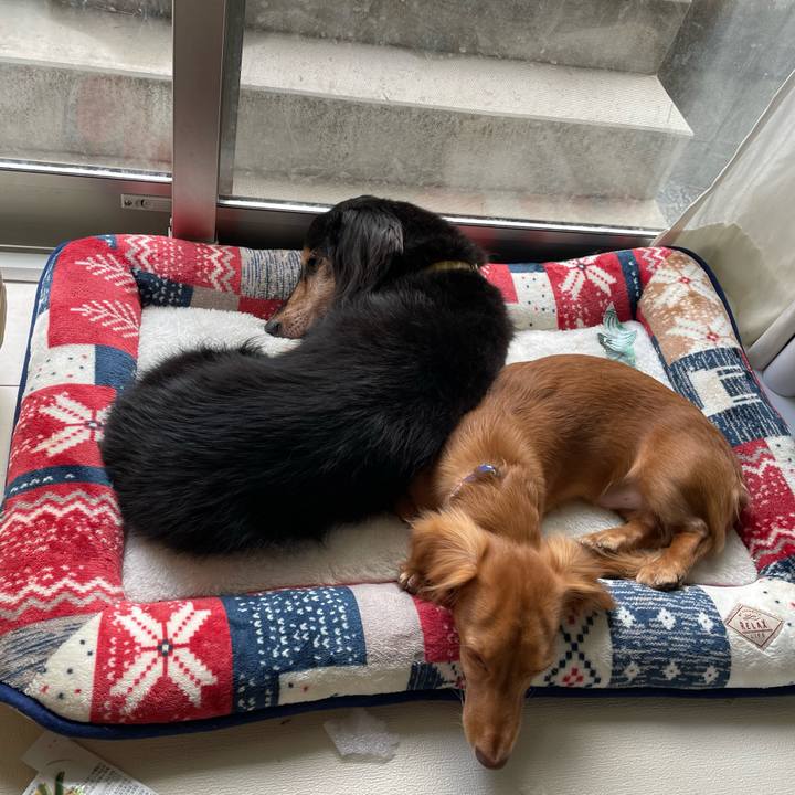 44597436 5dd3 41c9 bbe4 c23533d236ba 1730292163330