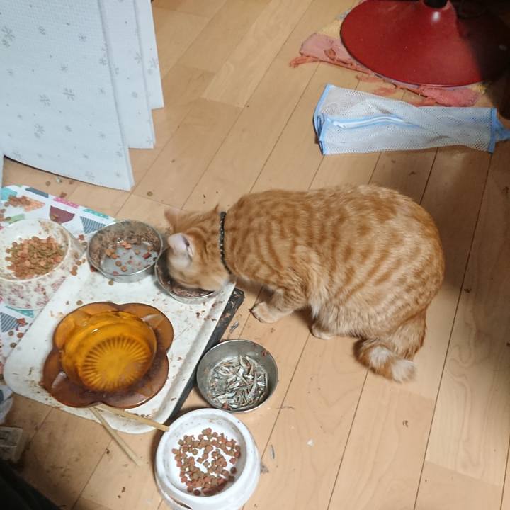 4459789f 4f78 41d5 a5b3 f85b2c39064d 1646038661248