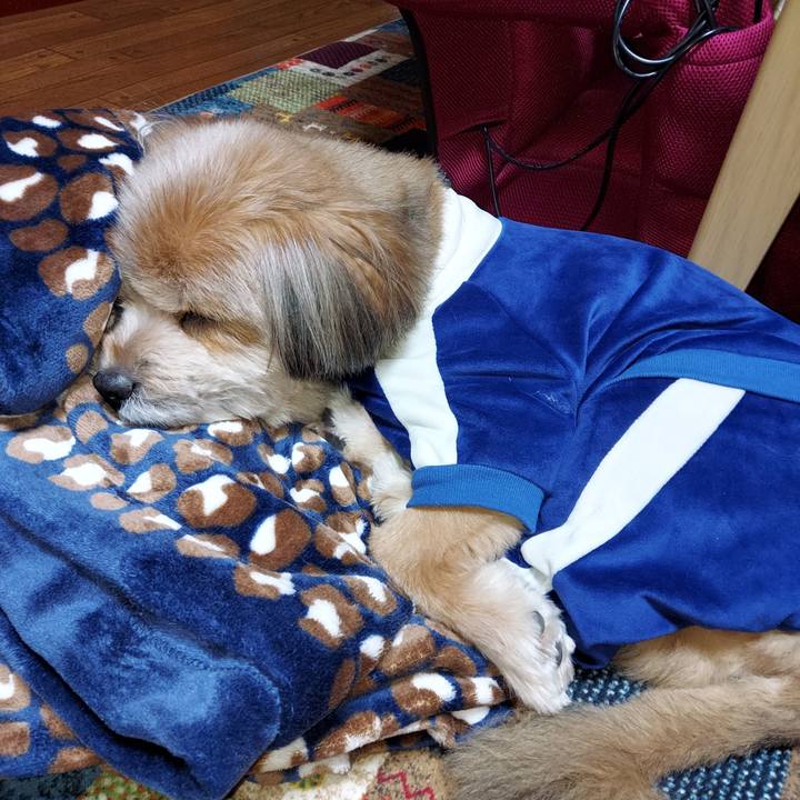 4459a23d 3c27 4e40 8924 9a9a07fe17f4 1644587596155