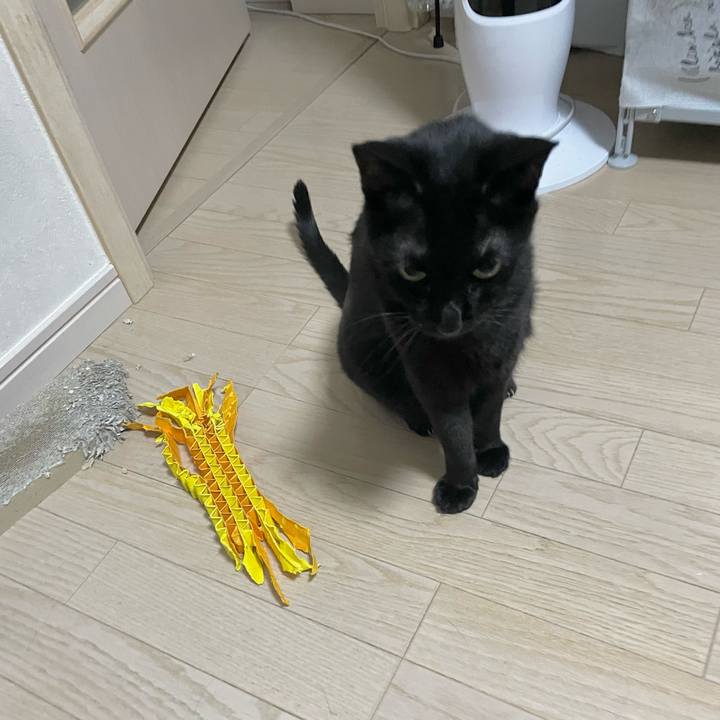 4459c029 f6ed 45da a125 48f217a12ec4 1723033550343