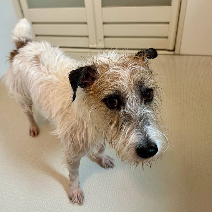 445a22df de08 4b60 ad00 6d0bb9967168 1758345922141