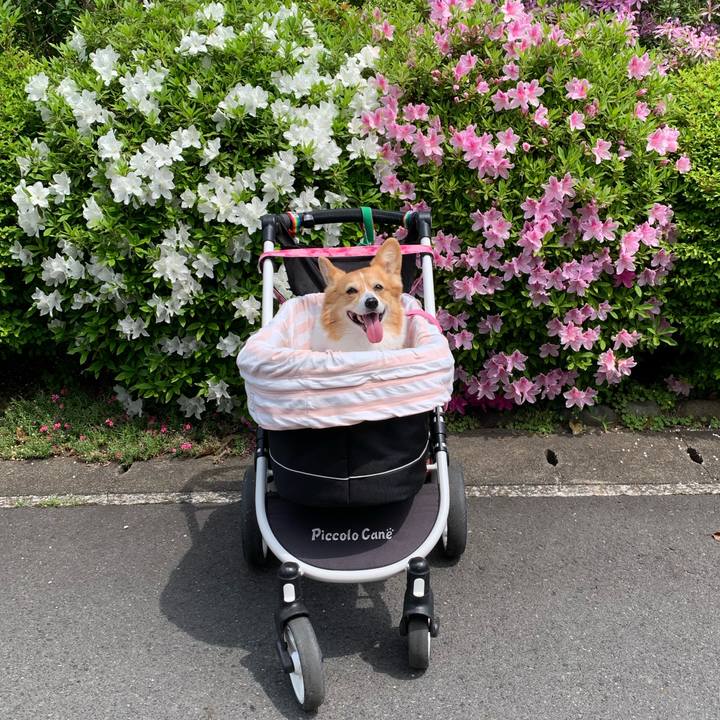 445a2fd6 fe1a 4176 a972 17e77a482432 1714356370519