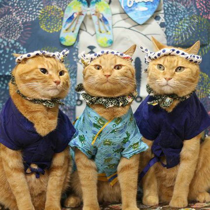 445a51cc bc27 42ed 92b7 781953ec54f6 1565710158693