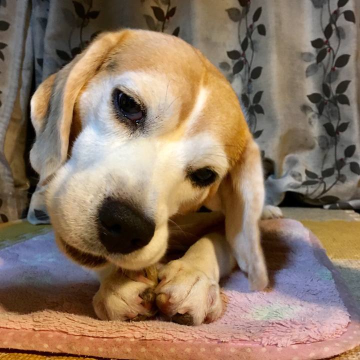 445a615c baf8 4c7a 9eb2 efbea342d41c 1725490740009