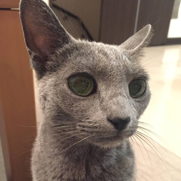 445a7155 f294 4e17 9232 0c0410649185 1512543998113