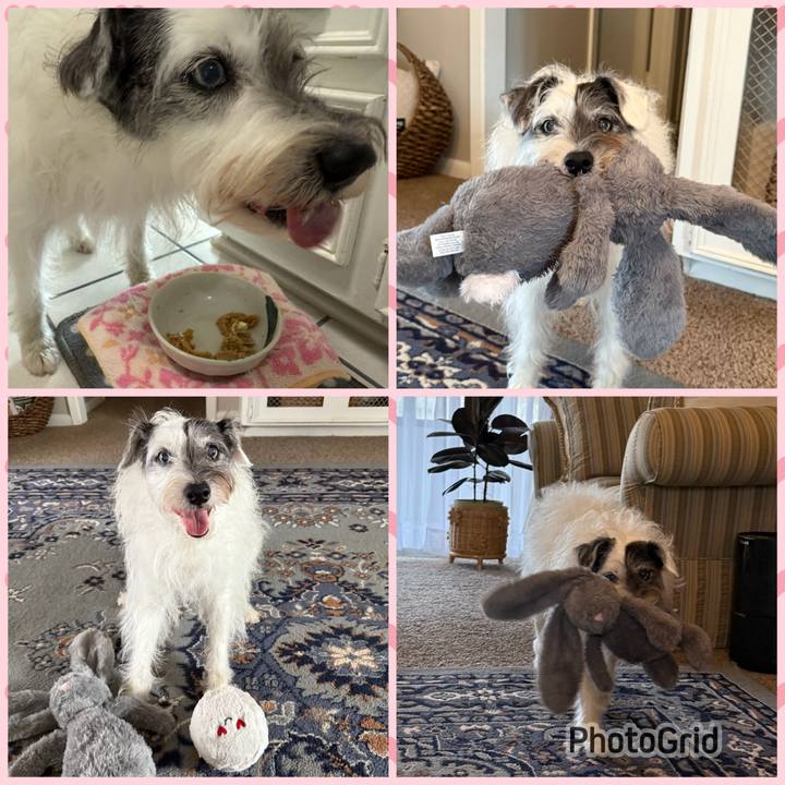 445a7b31 9208 4411 a2ea 833b9c7e5485 1770848728428