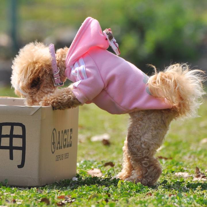 445a7f9e 9884 421d 9aca d6944515cf1e 1522061637737