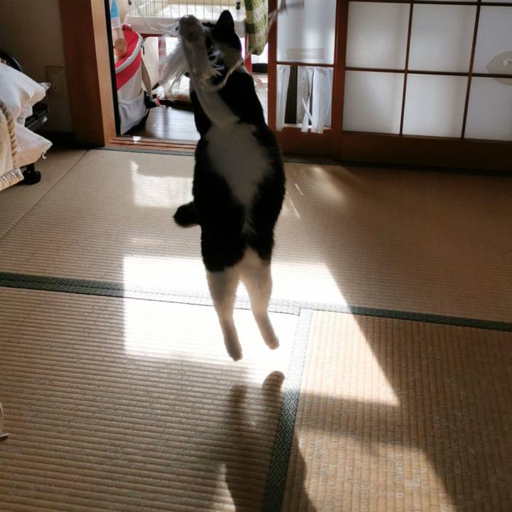 445a847c 630c 42bf 8f0c a55f23ad3d8e 1635829948793