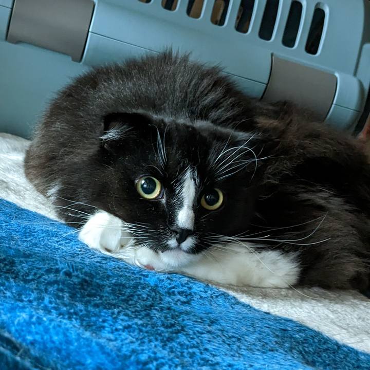 445ae252 d188 4762 82d7 ac25cf58d5b1 1681553885340