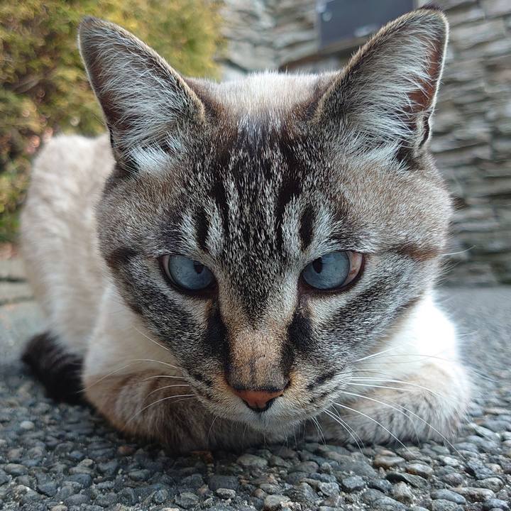 445ae54f 8d99 451a bc18 fbe277025e3d 1646985068916