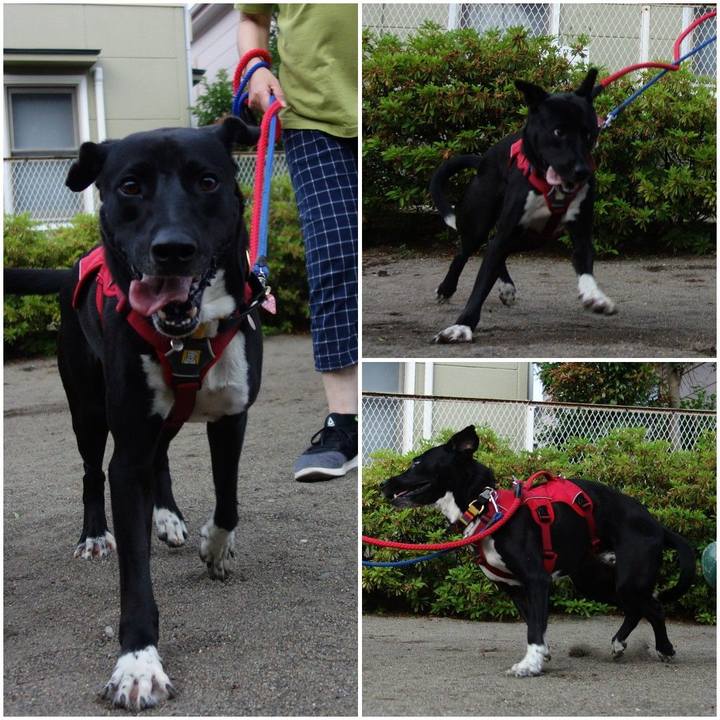 445b43c2 3c57 4de9 9cd6 c6deee921e77 1590833777643