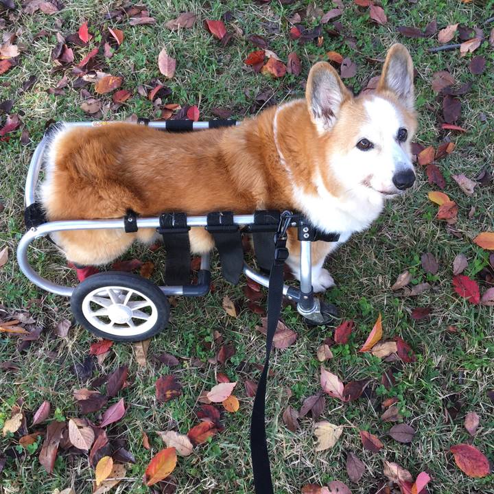 445b4a93 c20d 4224 83fc 611b8667b897 1543149312467