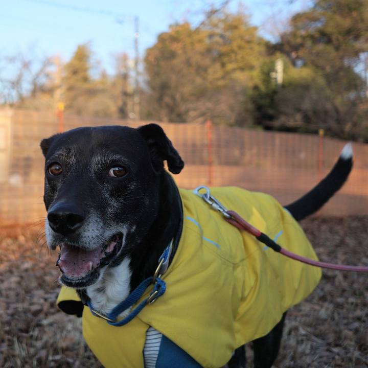 445b4e4b f1da 449a b0cb a6f6092d3853 1768005402834