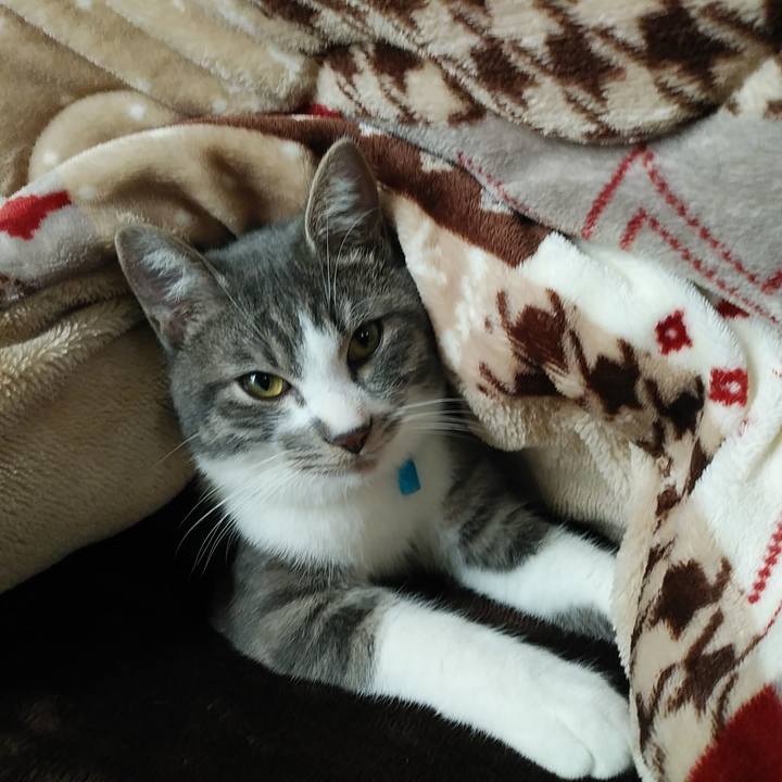 445bc49b 1851 42f3 82ff d6820a62a8ec 1575612122396