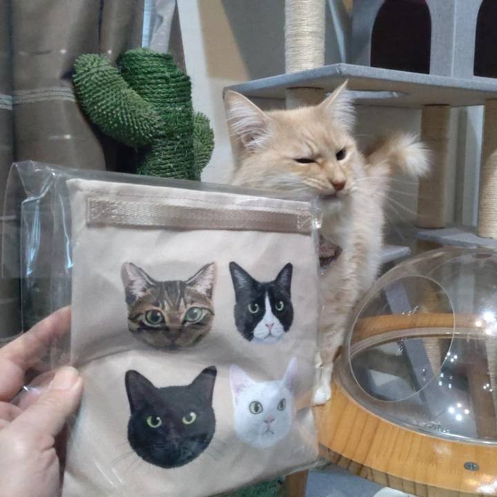 445bc6e8 3bf3 4f75 9490 8801f786a6dd 1770726488744