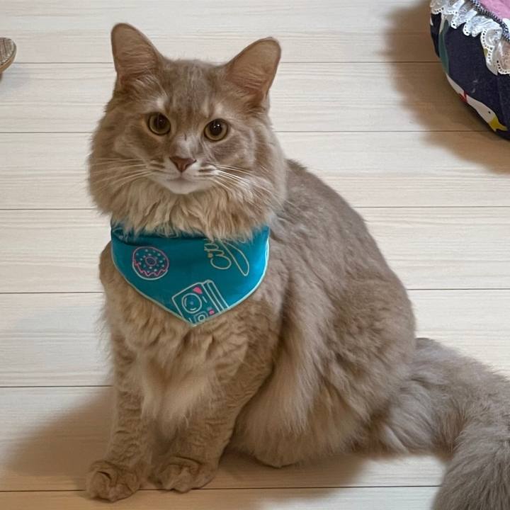 445be092 5424 4d68 a647 fa67bf7f85cc 1629877083480