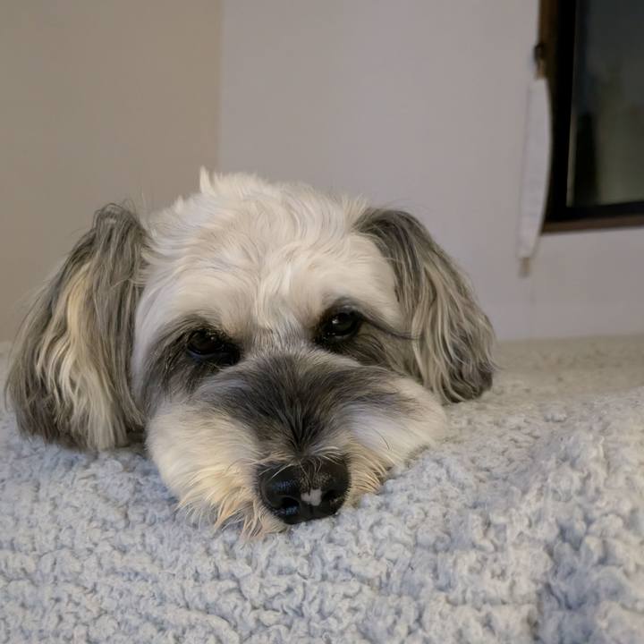 445c0aa7 d21b 40e7 823e 3832acdd919d 1759842169083