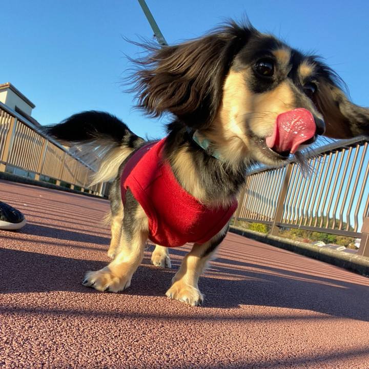 445c2158 ec61 4313 bf25 b1cc1dfed9fb 1698620925640