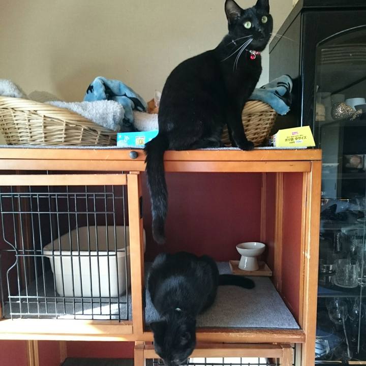 445c5387 f76b 4ab7 a644 717e1d96700a 1512360514385