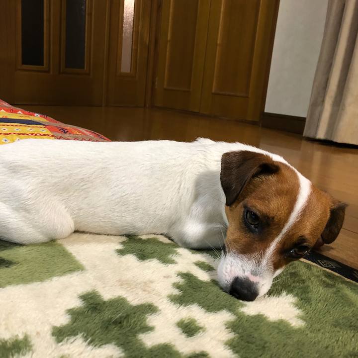 445c66f0 9104 4639 b8b6 6b915899e1af 1531145220151