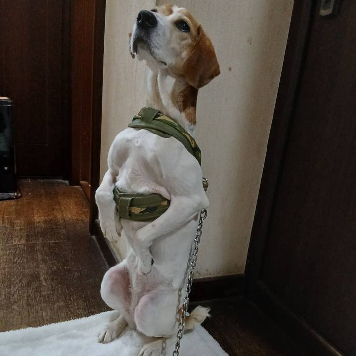 445c7833 fe5a 4518 8aae ca1b1a849e4a 1767440908837