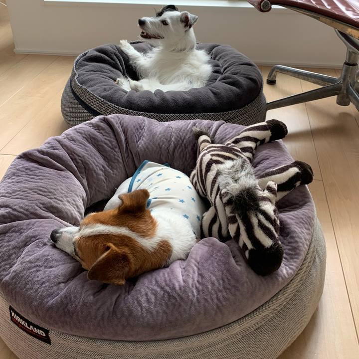 445c9d56 28bb 43ae 8725 dcf37a515e27 1633231323849