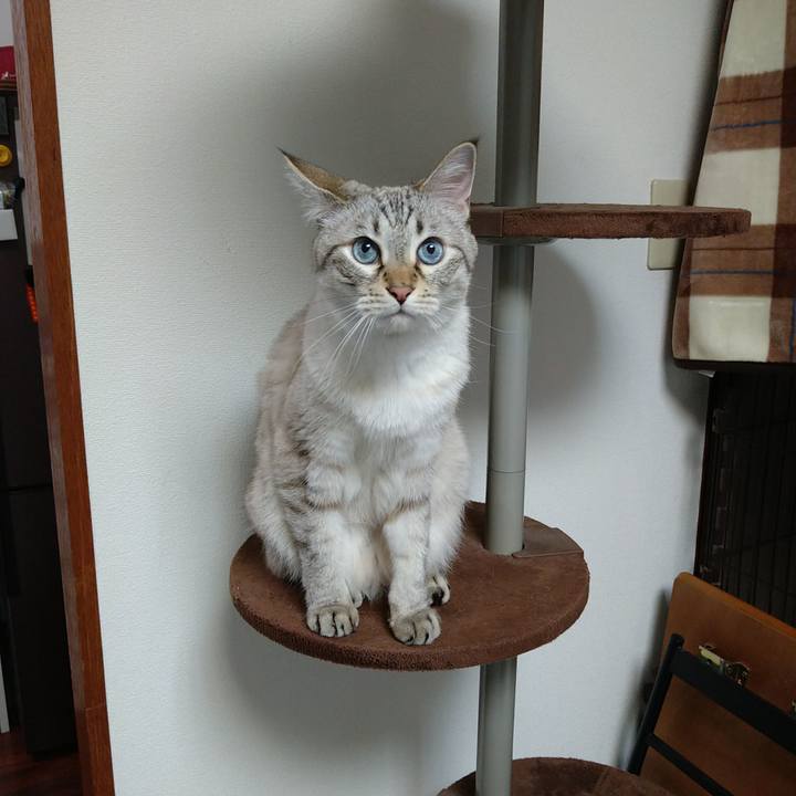 445cbb52 96f7 47a8 967b 753e1b55c9da 1723073780003