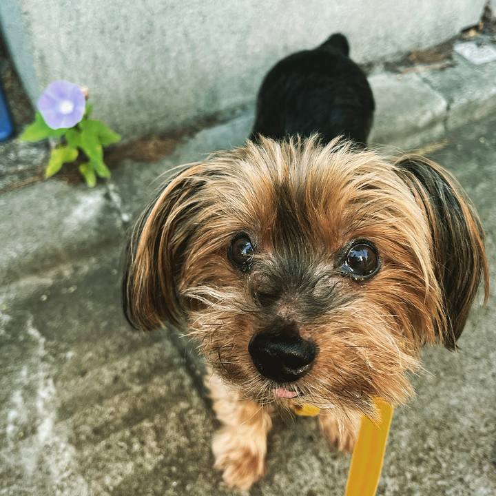 445cc1b7 35d7 49b4 9622 de44b8907c25 1660080189613