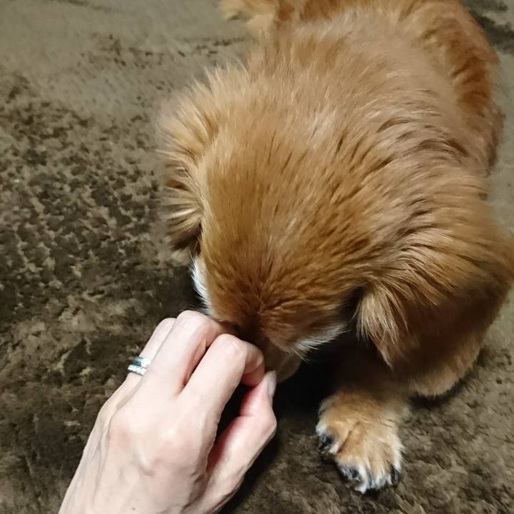 445d0aee 8eb1 46af a469 2e30191999ee 1513142455277