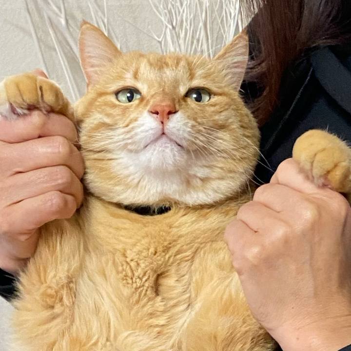 445d0e1b 6e66 4c08 a80c aee124b7d083 1708258729655