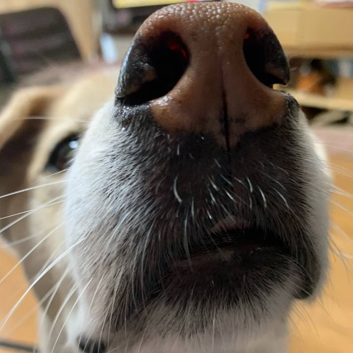 445d5e37 99cb 4005 b2f7 36d4760812c2 1611447745521