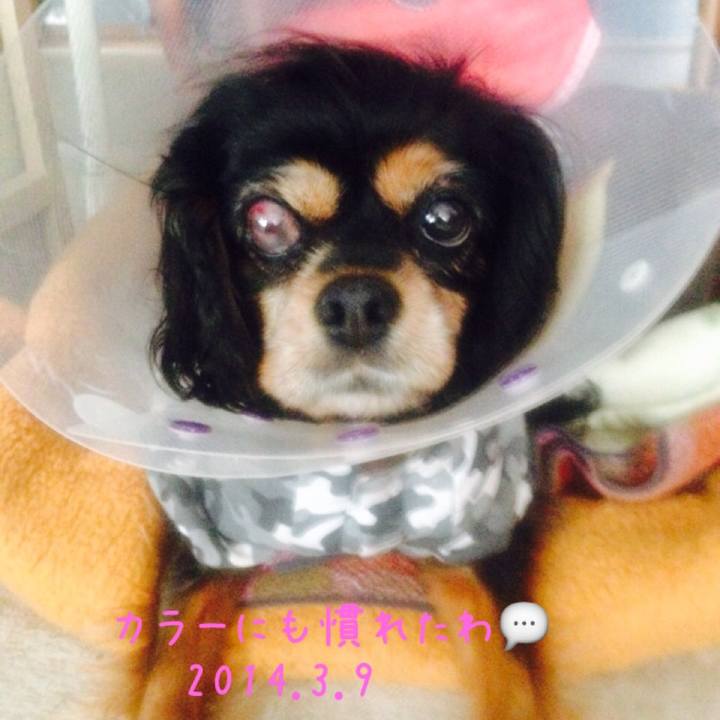 445d73b5 2b89 4c81 99b9 6cfcd36311b5 1577515597914